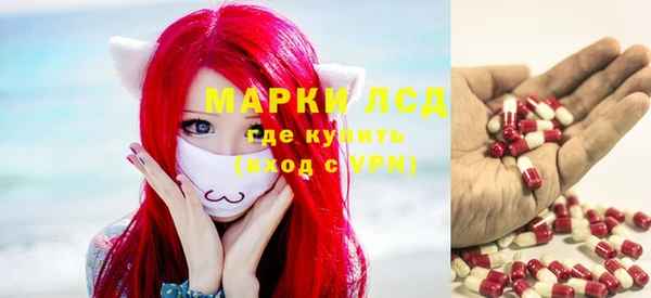 сатива Вязьма