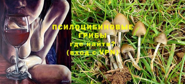 сатива Вязьма