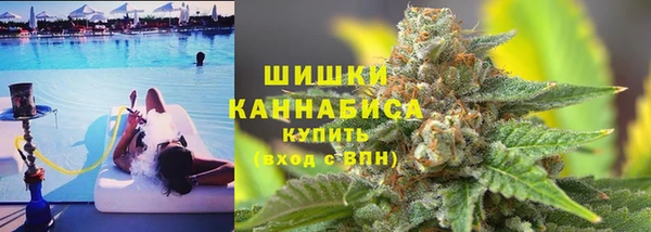 сатива Вязьма