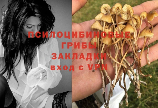 синтетический гашиш Вяземский