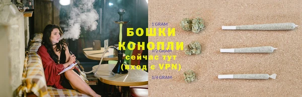 сатива Вязьма