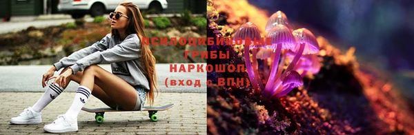 сатива Вязьма